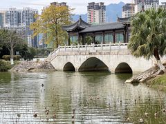-飞来湖湿地公园