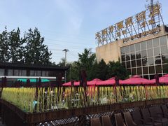 -大东方海鲜酒楼(小武基桥店)