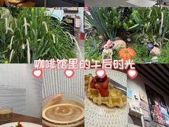 -ommo cafe(半岛城邦店)