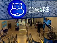 门面-盒马鲜生(双清路店)