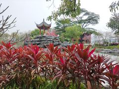 -顺峰山公园