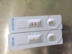 -骐奇宠物诊疗中心(南亭公路店)