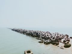 -东疆建设开发纪念公园