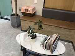 -半岛宠物医院24小时·内窥镜·牙科·碎石中心(府城大道店)