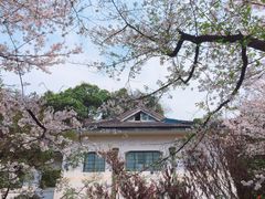 -武汉大学-樱园