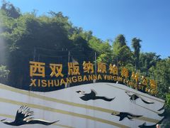 -西双版纳原始森林公园