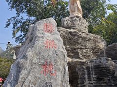 -大岭沟猕猴桃谷风景区