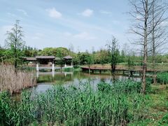 -同里国家湿地公园