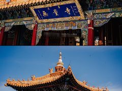 -大召无量寺
