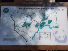 -碧峰峡风景区