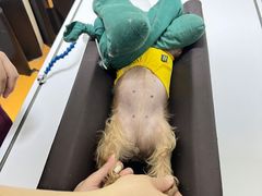-美联众合动物医院·24h转诊中心