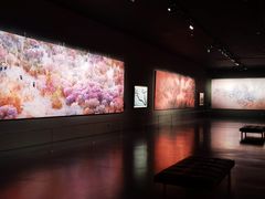 -罗红摄影艺术馆