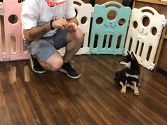 -柯斗斗主题餐厅·狗咖·围炉煮茶·茶饮(国瑞升平里店)