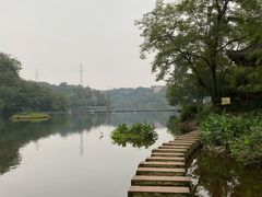 -重庆彩云湖湿地公园