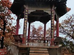 -遵化市禅林寺古银杏风景园