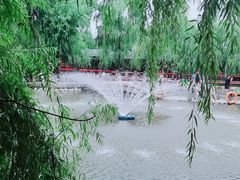 -大鹅岛绿色生态美食园
