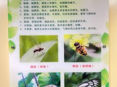 -上海昆虫博物馆