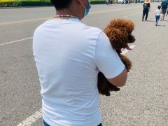 -东疆建设开发纪念公园