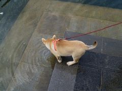 -黔灵山公园-南门售票处