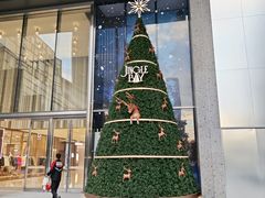 -深圳湾万象城(南山店)