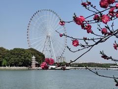 -无锡蠡湖国家湿地公园-蠡园