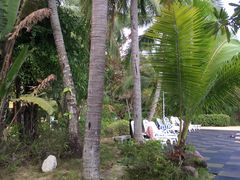 -三亚珠江南田温泉度假区