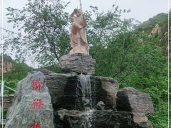 -大岭沟猕猴桃谷风景区