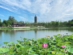 -西海子公园