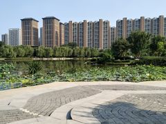 -木塔寺遗址生态公园