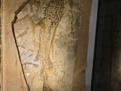 -房山世界地质公园博物馆