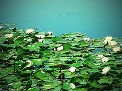 -中关村生命科学园