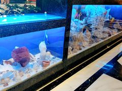 -新海渔港·胶东海鲜家常菜·家宴(奥体中心店)