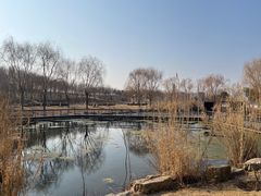 -北龙湖湿地公园