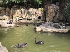 -燕塞湖鸟语林景区