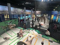 -国家自然博物馆