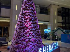 -中山喜来登酒店