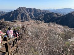 -大岭沟猕猴桃谷风景区