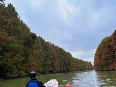 -上海海湾国家森林公园