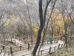 -大岭沟猕猴桃谷风景区