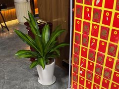 -臻享养生·SPA·影院式足道(汇臻店)