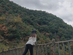 -遂昌金矿国家矿山公园