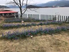 -翠屏湖景区