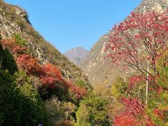 -玉渡山自然风景区