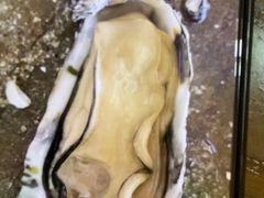 -蠔爺王志德生蚝馆(金沙湾店)