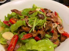 鲜炒黑牛肝菌-紫滇源云南生态菜(丹凤街店)