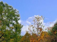 -香山公园