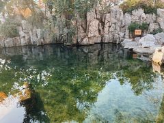 -趵突泉景区