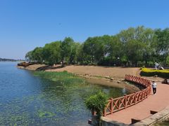 -丁香湖公园