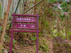 -龙瀑仙洞