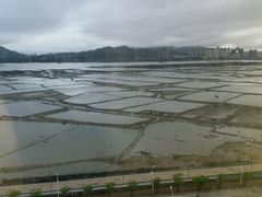 -厦门途易蓝罗约海景温泉酒店(园博苑地铁站店)